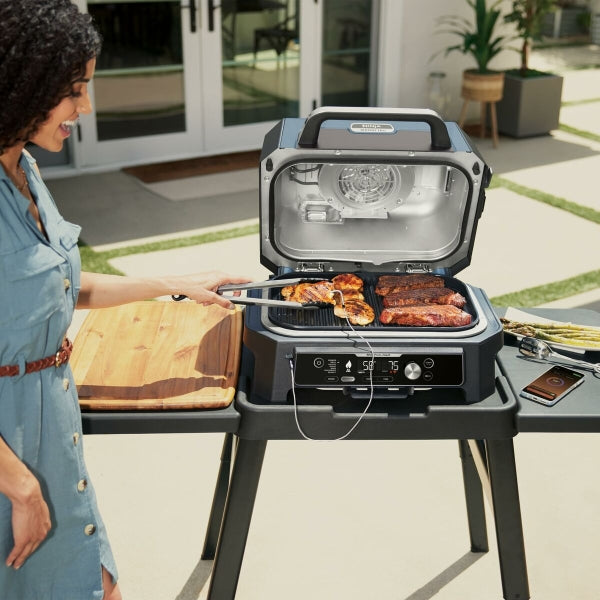 BARBECUE DRAAGBARE NINJA