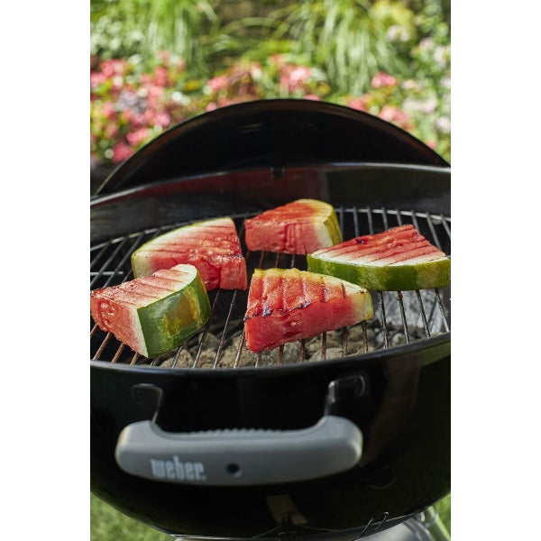 WEBER E-4710 BARBECUE GEËMAILLEERD STAAL